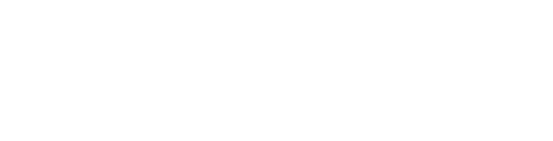 Instituto Nikola Tesla